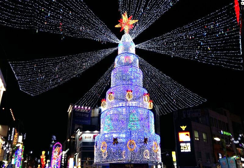 cây thông Noel Busan
