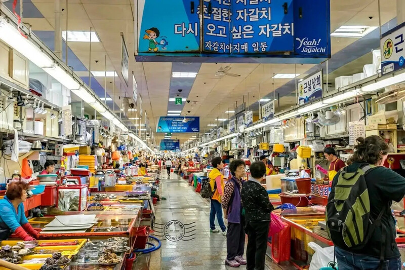 Khu chợ cá lớn nhất Hàn Quốc tại Busan
