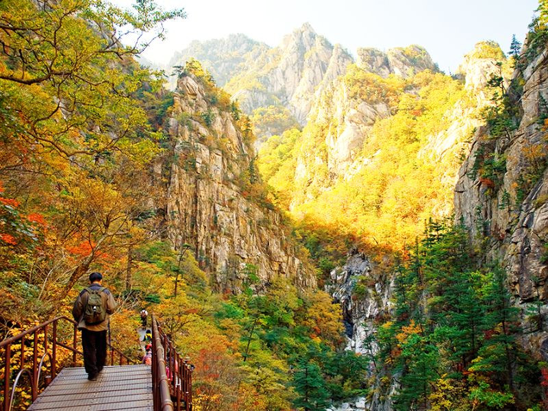 Công viên quốc gia Seoraksan Sokcho mùa thu