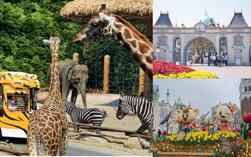 Công viên giải trí Everland nổi tiếng Công viên giải trí Everland nổi tiếng