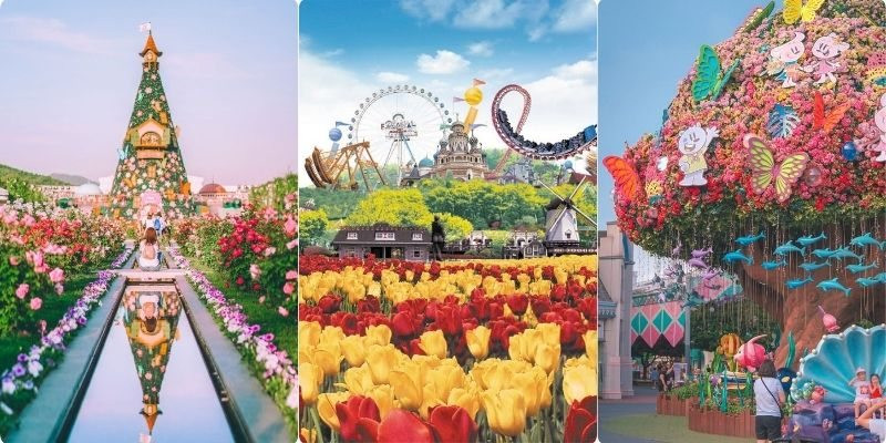 Công viên giải trí nổi tiếng có nhiều khu vực chủ đề dành cho nhiều độ tuổi 