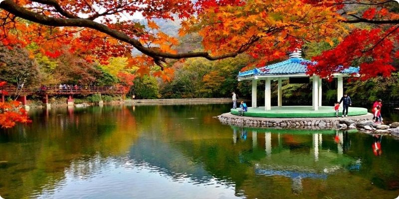 Công viên quốc gia Naejangsan
