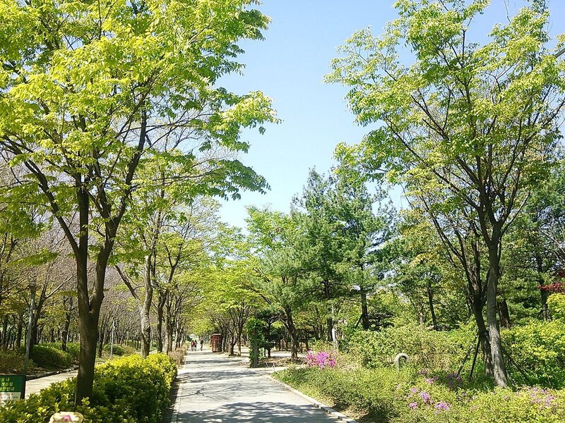 Phong cảnh khi đi dạo trong công viên rừng Seoul