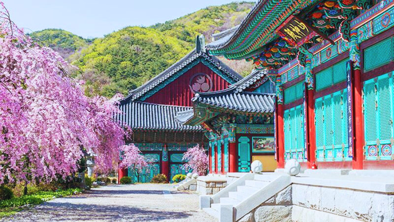 Cung điện Seoul- di tích lịch sử