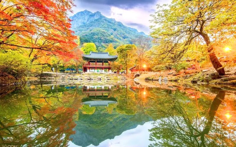 Điểm hẹn mùa lá đỏ đầy cuốn hút Điểm hẹn mùa lá đỏ đầy cuốn hút