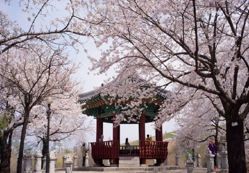 Hàn Quốc thu hút khách du lịch bởi phong cảnh lãng mạng