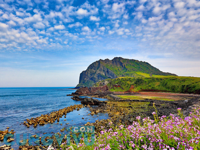 Du lịch đảo Jeju Hàn Quốc - Điểm du lịch hàng đầu tại xứ Hàn
