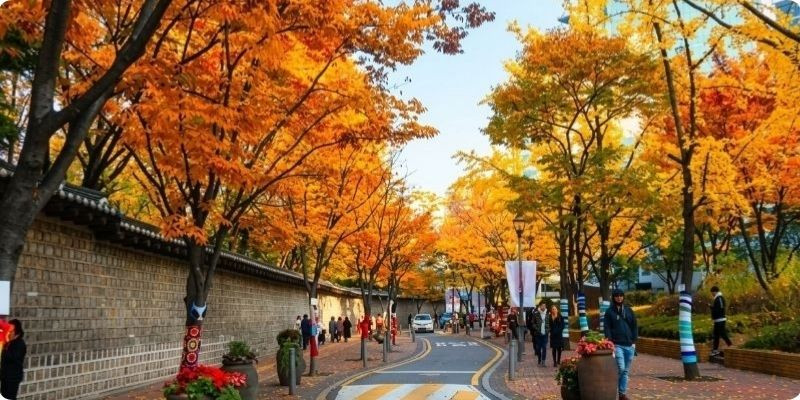 Đường tường đá Deoksugung Hàn Quốc