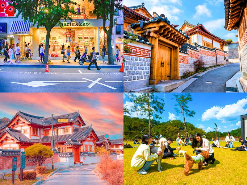 Hoà mình vào khung cảnh mùa thu lãng mạn ở Seoul 