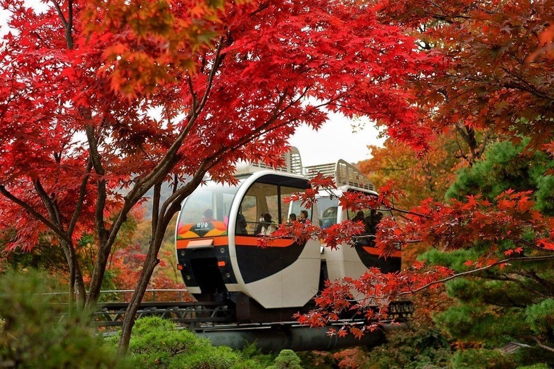 Hwadam Botanic Garden mùa thu