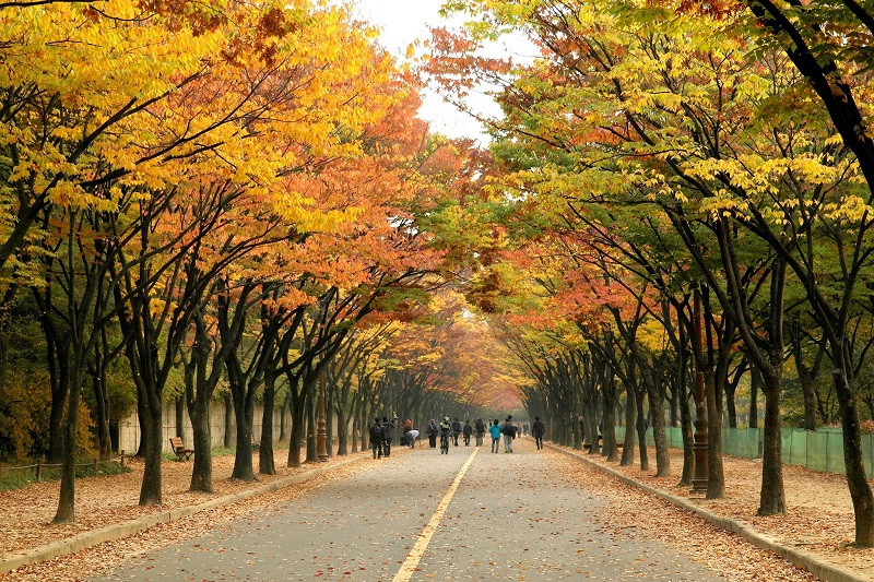 Công viên Incheon