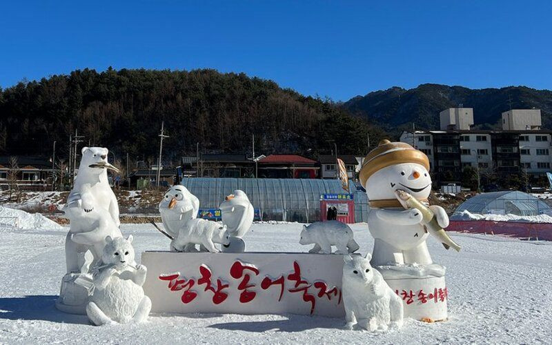 Lễ hội cá hồi Pyeongchang náo nhiệt giữa mùa đông