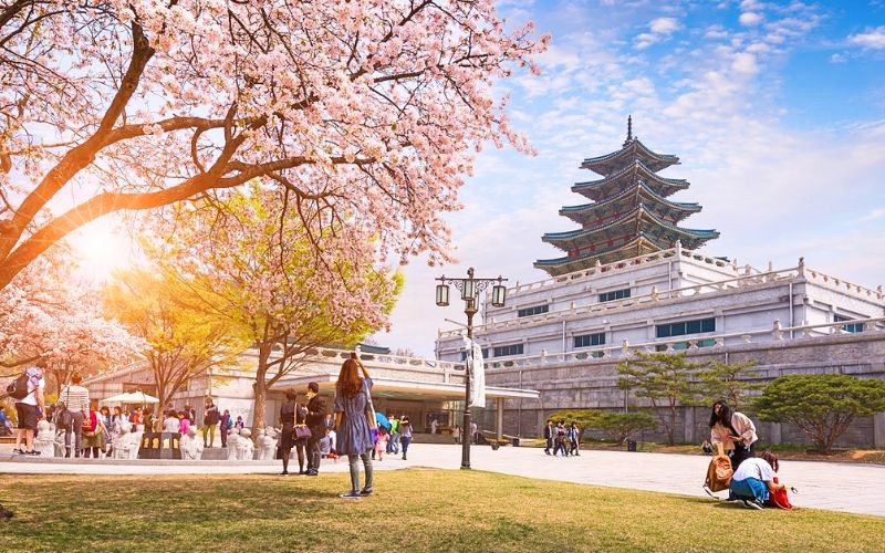 Một số mẹo du lịch Hàn Quốc tháng 4