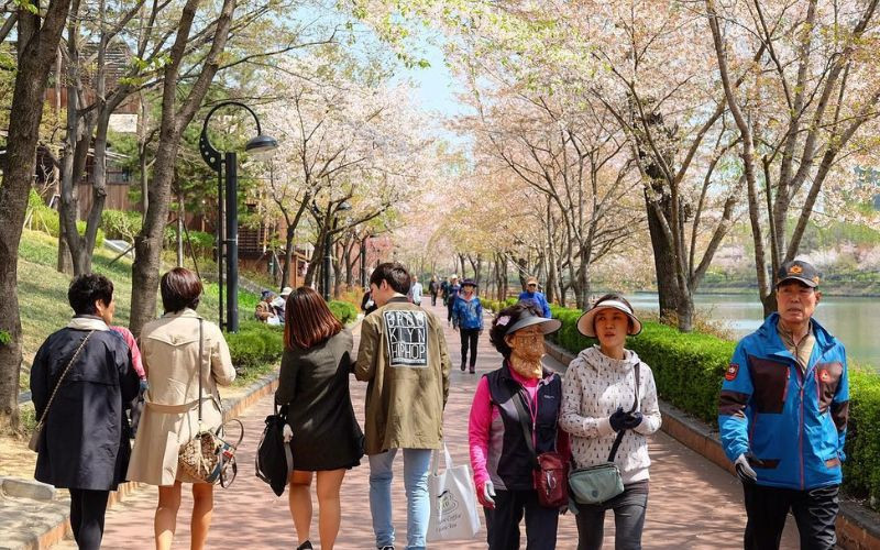 Không khí sầm uất ở Hàn Quốc mùa hè 
