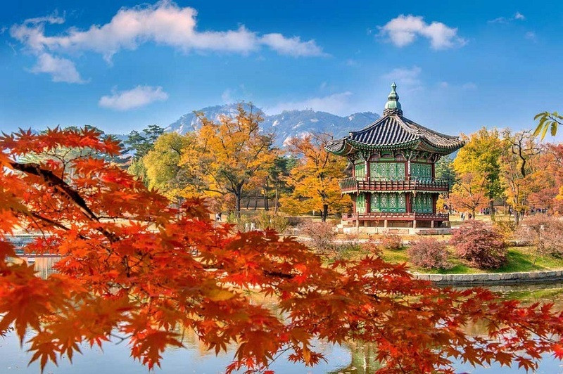 Mùa thu ở cung điện Gyeongbokgung