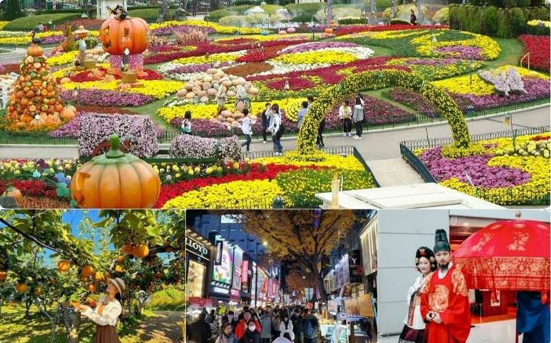 Các hoạt động nổi bật trong tour du lịch hàn quốc tháng 10 