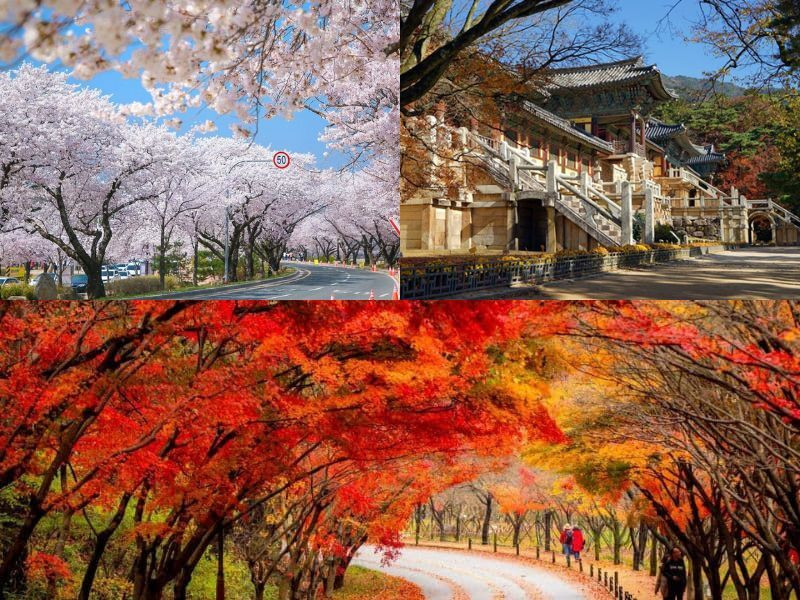 Những trải nghiệm siêu thú vị bạn phải thử nếu đến Gyeongju 
