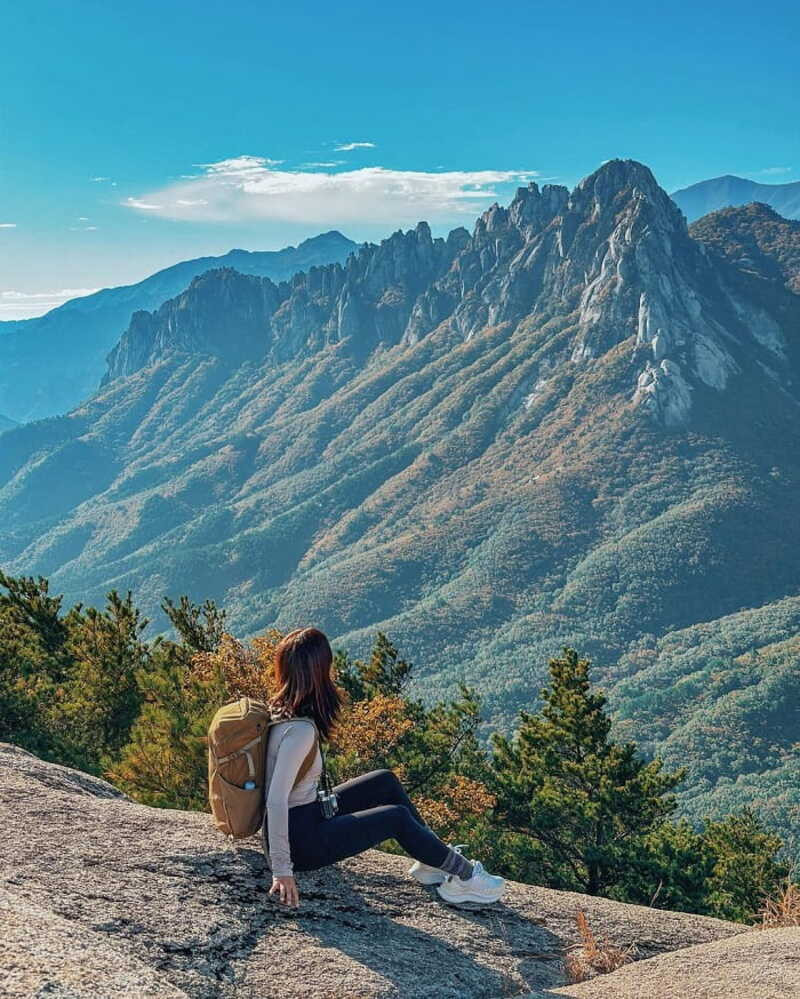 Vẻ đẹp trên đỉnh núi tại Seonginbong- đảo Ulleungdo