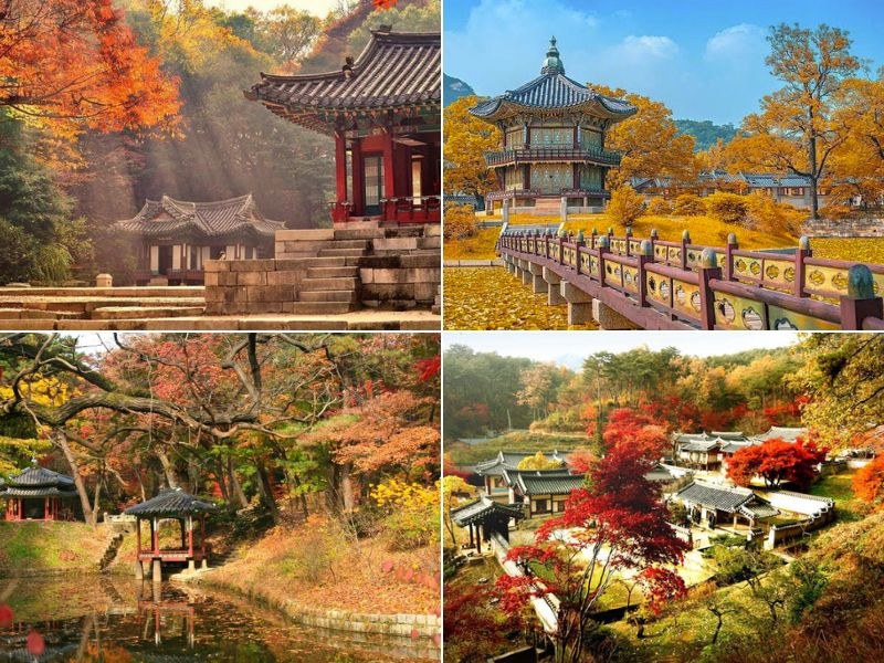Quần thể cung điện Changdeokgung mùa thu