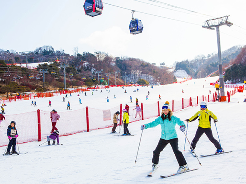 Tham gia trượt tuyết - Hoạt động không thể thiếu vào mùa đông Hàn Quốc
