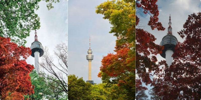 Tháp Namsan là điểm đến lý tưởng dể ngắm cảnh Hàn Quốc mùa thu