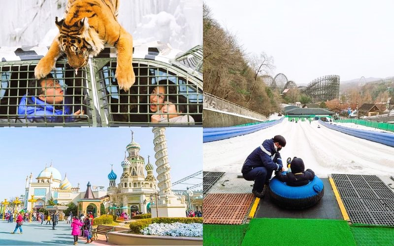 Thiên đường giải trí tuyệt vời tại Hàn Quốc