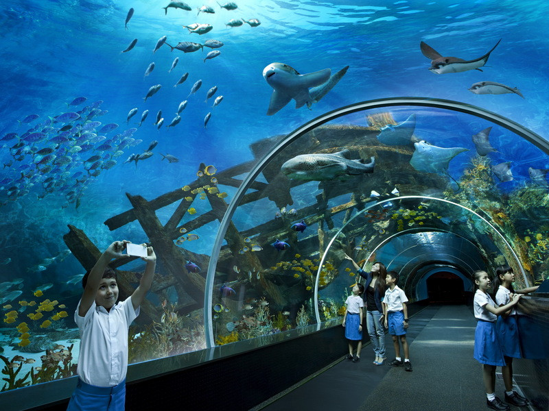 Thủy cung Yeosu