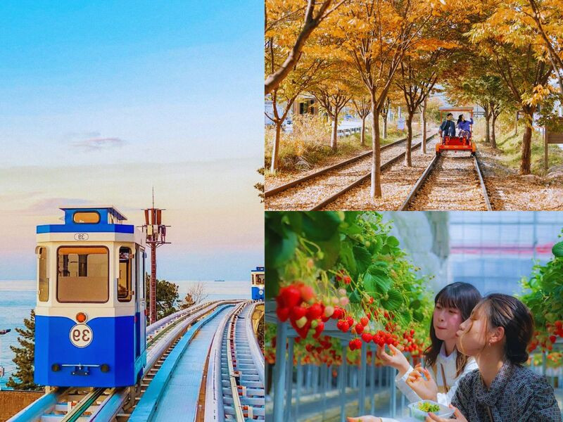 Tour du lịch Hàn Quốc mùa thu - Trải nghiệm thú vị Tour du lịch Hàn Quốc mùa thu - Trải nghiệm thú vị