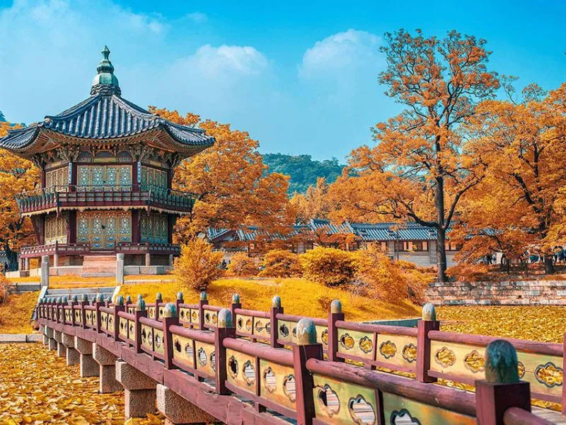 Vẻ đẹp mùa thu Hàn Quốc say đắm nhiều du khách