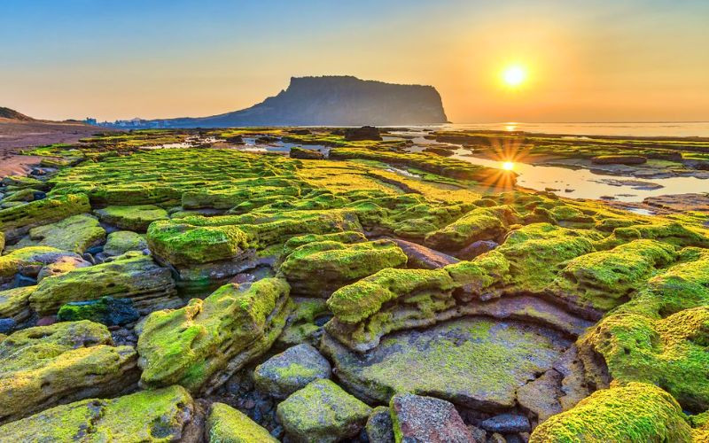Vẻ đẹp dịu dàng của Jeju trong tiết trời mùa thu Vẻ đẹp dịu dàng của Jeju trong tiết trời mùa thu