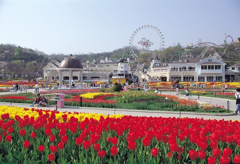 Everland - công viên giải trí lớn với đầy đủ tiện nghi nhất