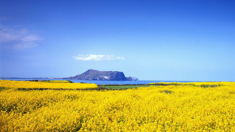 Đảo Jeju mang một nét đẹp thơ mộng