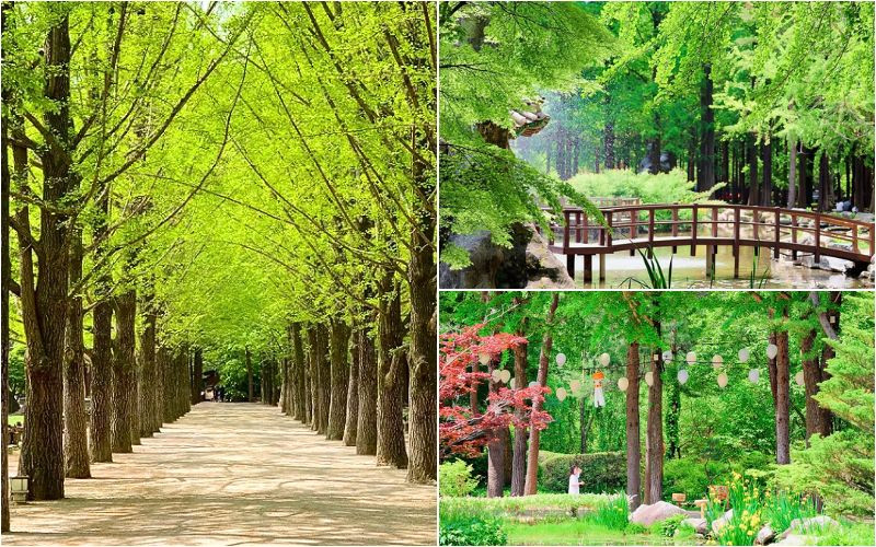 Điểm đến trong tour Hàn Quốc mùa hè