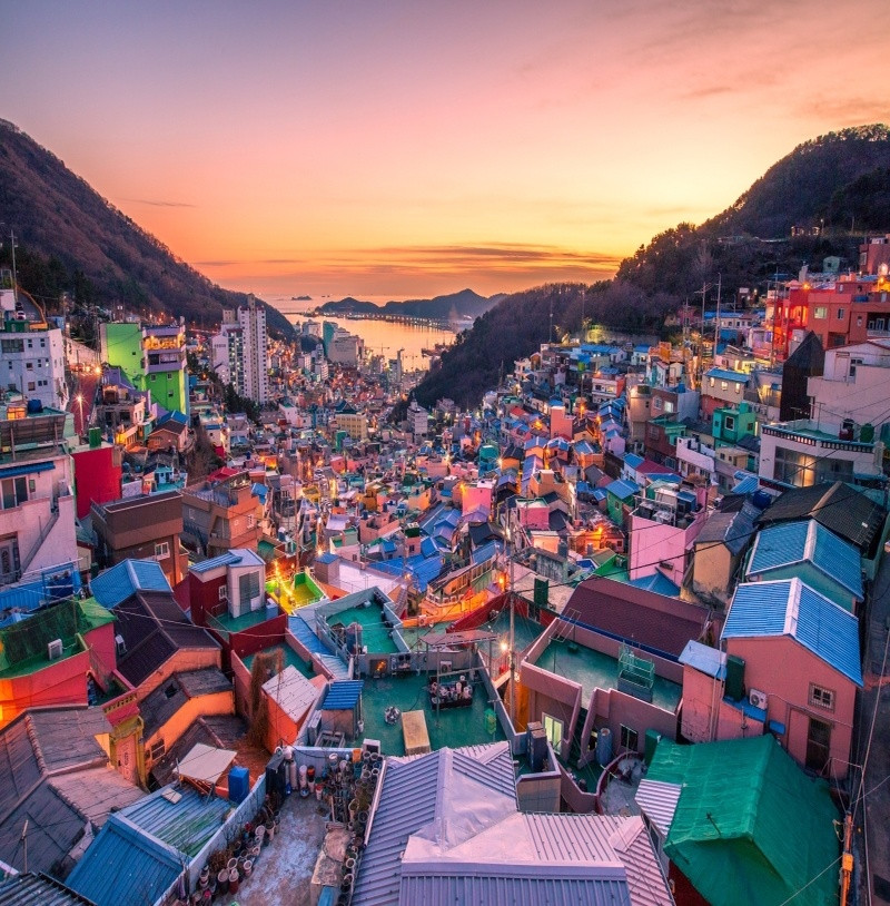 Gamcheon Culture Village – “Santorini thu nhỏ” đầy sắc màu của Busan