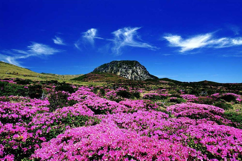 Hallasan – Ngọn núi biểu tượng của đảo Jeju 