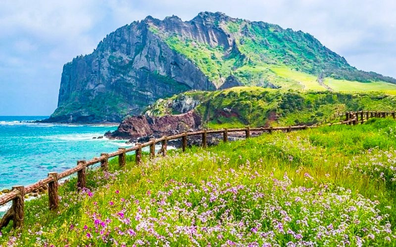 Thiên nhiên ở Hàn Quốc mùa hè rực rỡ và tràn đầy sức sống