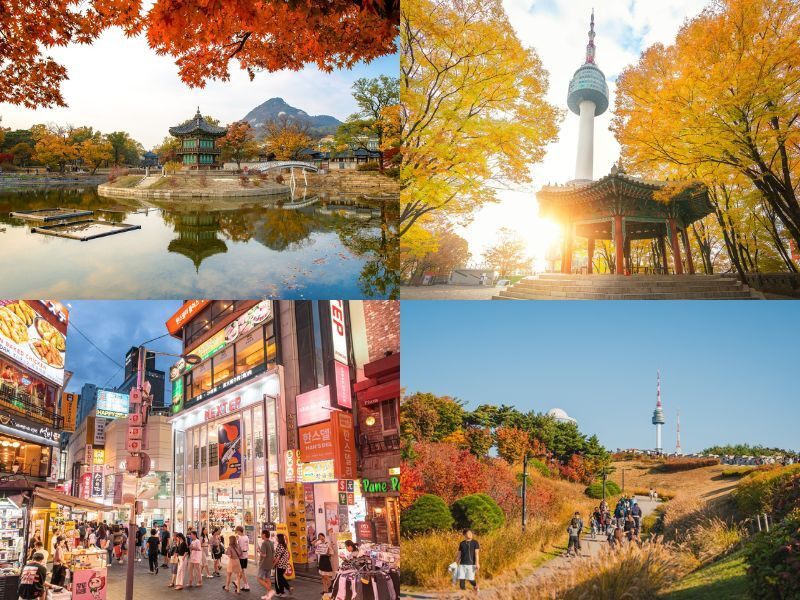 Vẻ đẹp nao lòng ngay giữa thủ đô Seoul