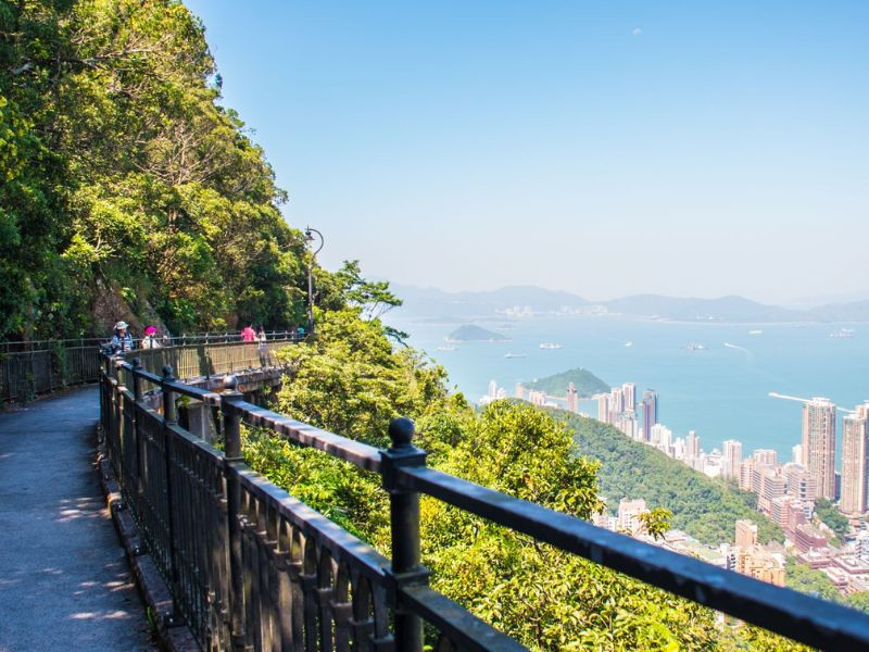 Dạo bộ trong công viên xanh mát