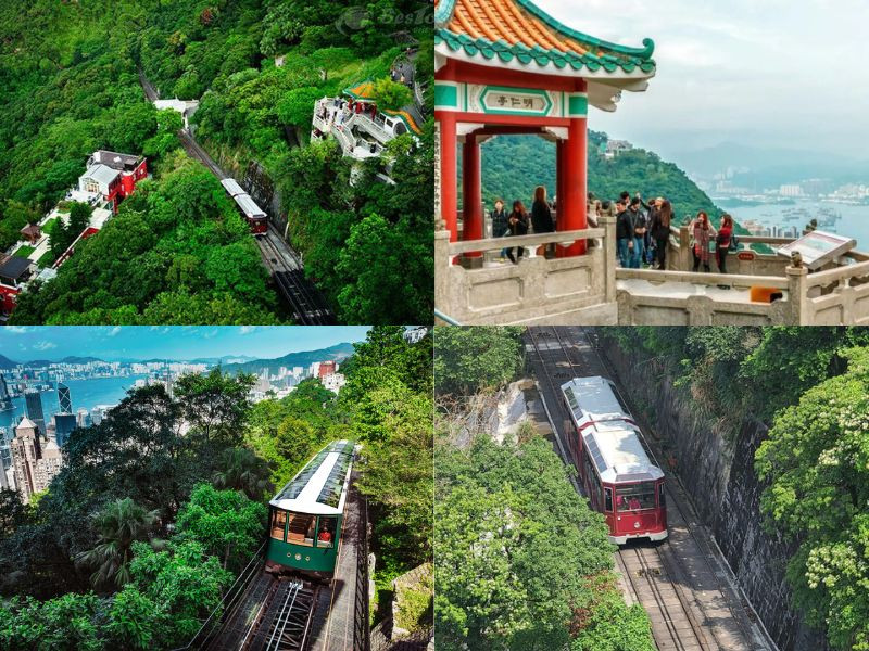 Đỉnh núi Thái Bình – nơi ngắm toàn cảnh Hong Kong đẹp nhất từ trên cao