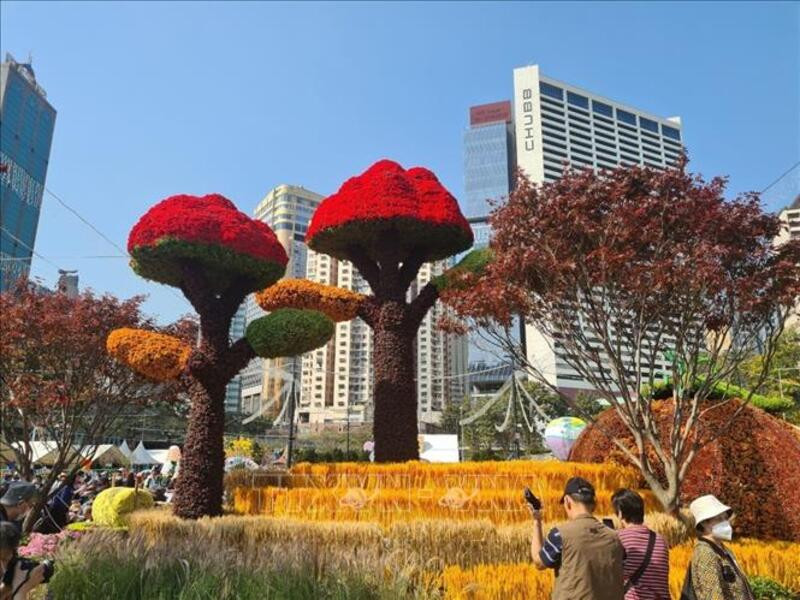 Các công trình nghệ thuật hoa độc đáo Các công trình nghệ thuật hoa độc đáo