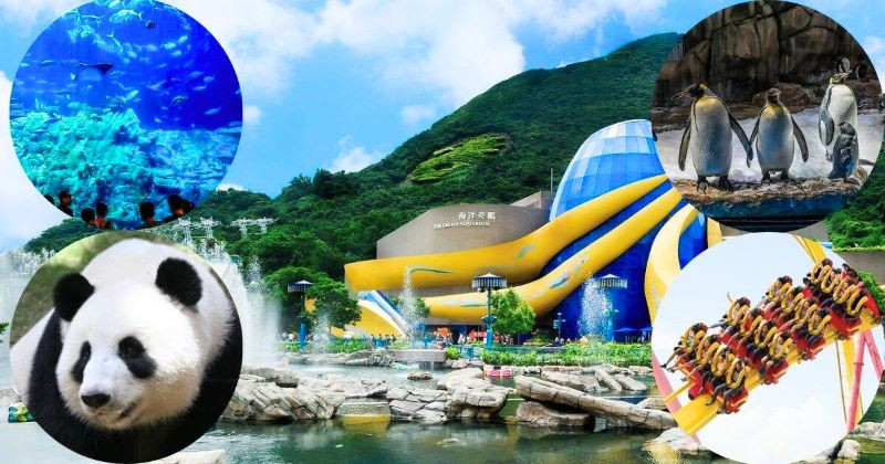 Một ngày lạc vào Ocean Park -  du lịch Hong Kong tháng 11