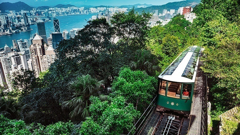 Ngắm cảnh đẹp thành phố từ toa tàu