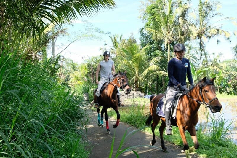  Cưỡi ngựa tại trang trại Ubud Horse Stables 