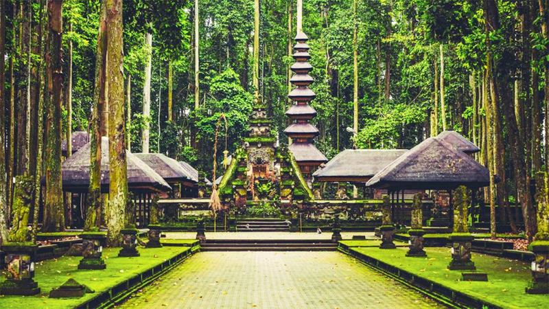 Rừng khỉ Ubud - một địa điểm du lịch lý tưởng 