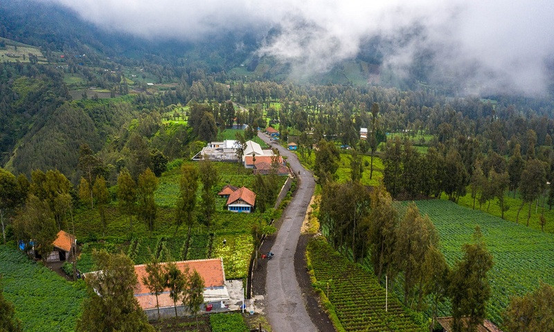 Làng Cemoro Lawang 