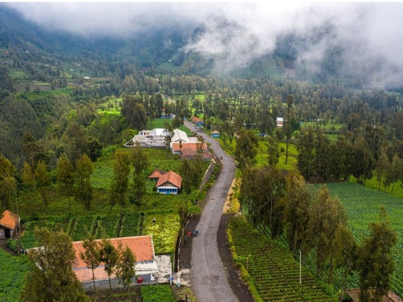 Làng Cemoro Lawang