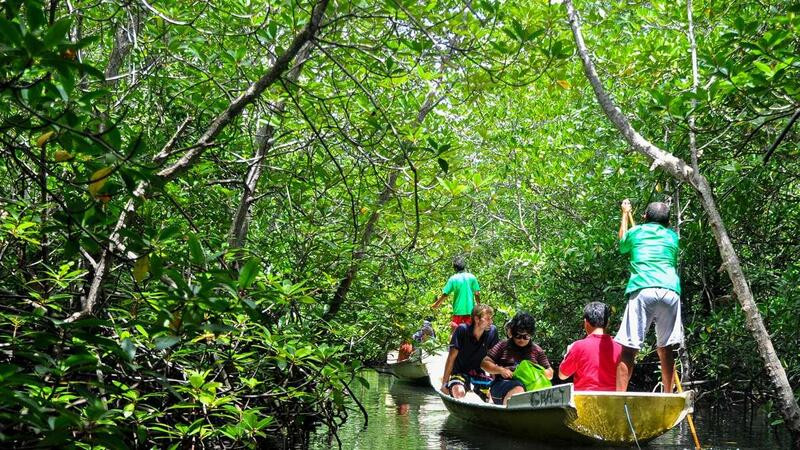 Cảnh quan bình yên tại rừng ngập mặn Lembongan 