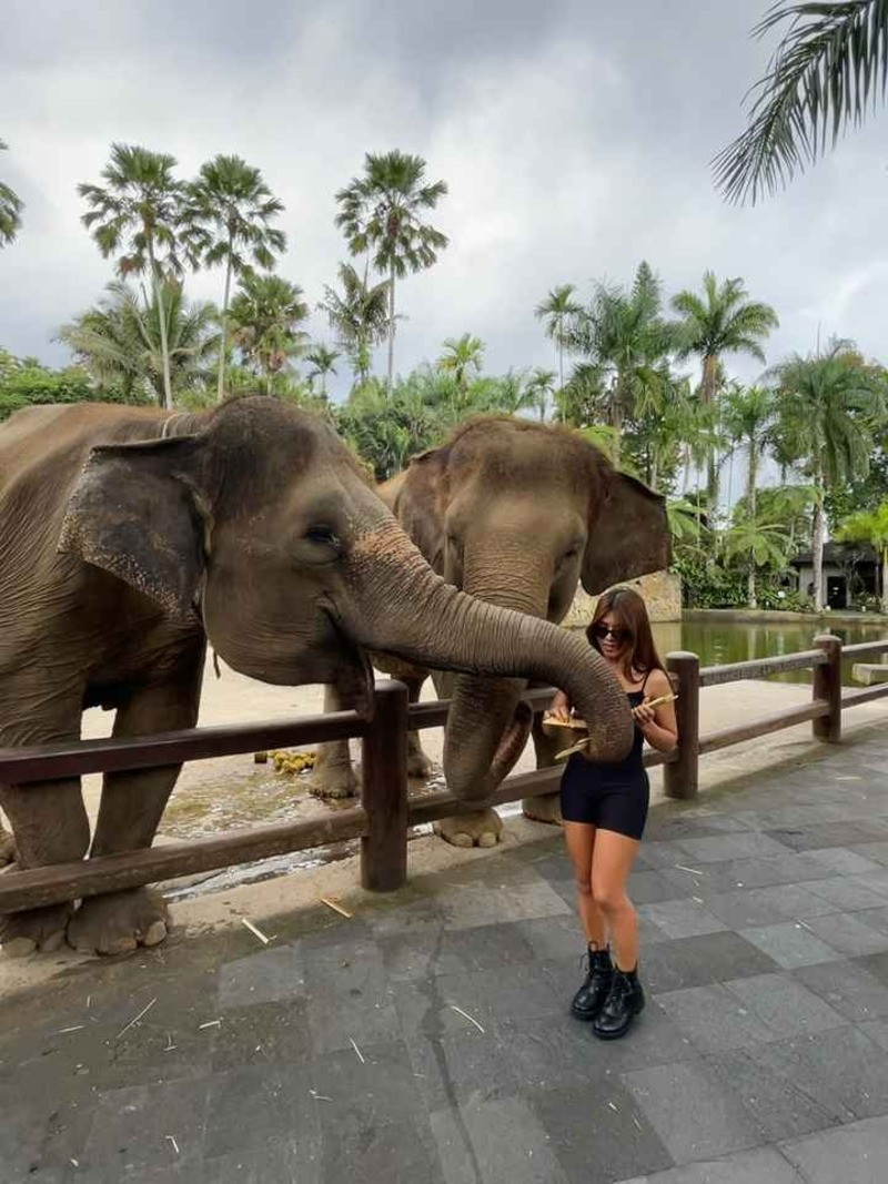 Công viên bảo tồn voi - Mason Elephant Park 