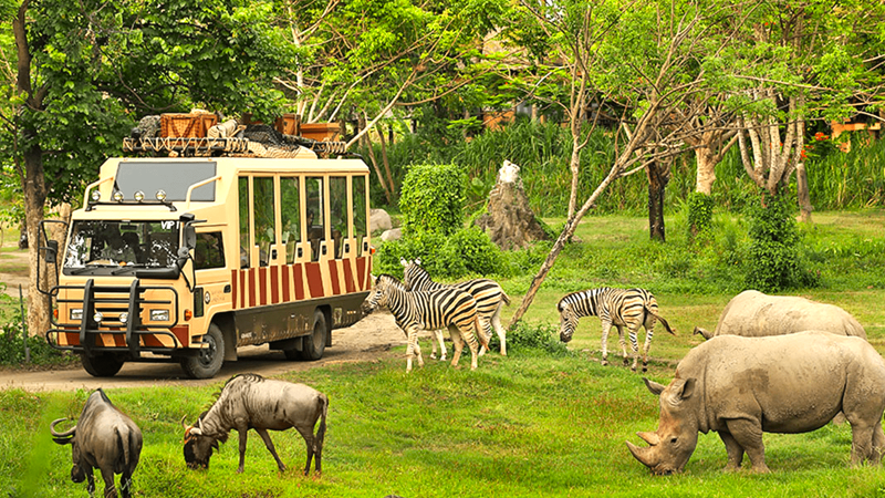 Trải nghiệm mới khi du lịch Bali 