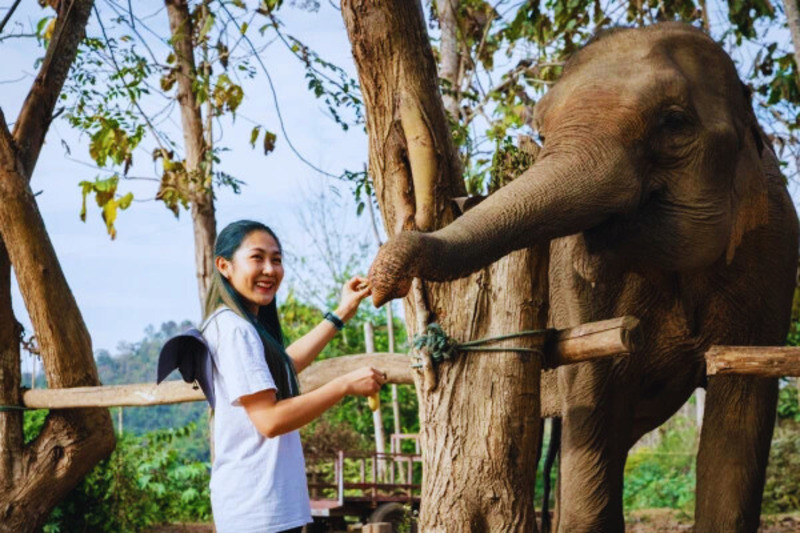 Khu bảo tồn voi Luông Pha Bang